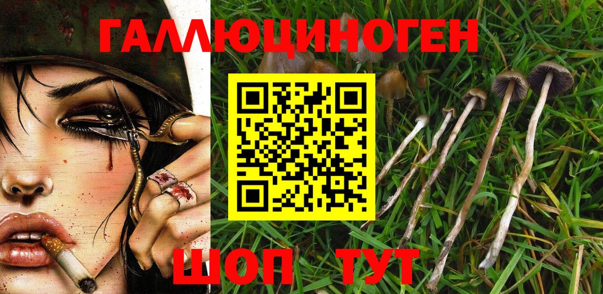 Псилоцибиновые грибы MAGIC MUSHROOMS  Вход с VPN  Новый Уренгой  Галлюциногенные грибы MAGIC MUSHROOMS 
