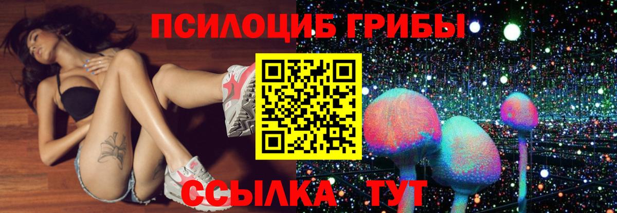 Галлюциногенные грибы Psilocybe Новый Уренгой